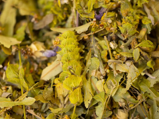 Other Plant-Based Extracts